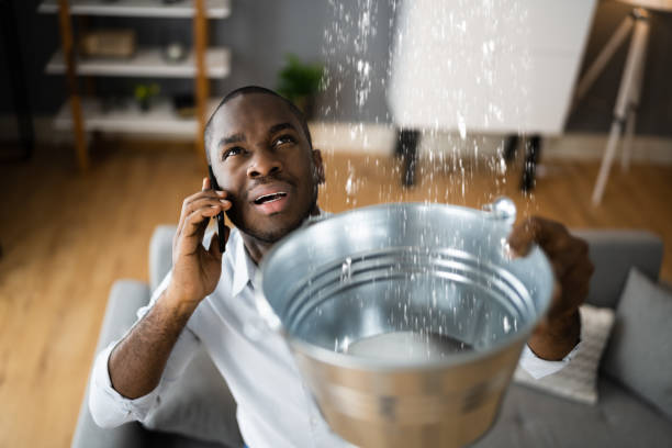  South Bound Brook, NJ Water damage restoration Pros