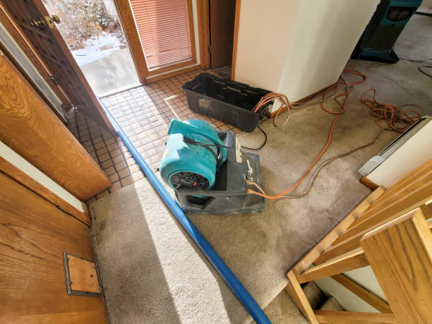Best Professional water damage repair  in South Bound Brook, NJ