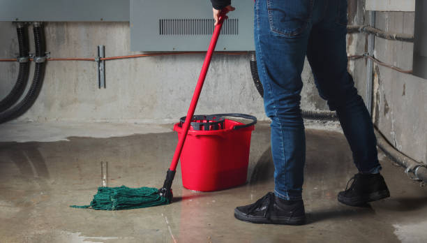 Best Water damage restoration near me  in South Bound Brook, NJ