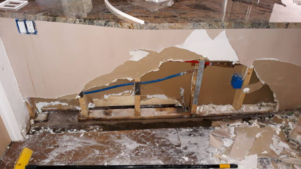 Best Commercial water damage restoration  in South Bound Brook, NJ