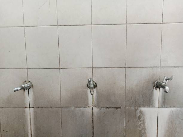Best Emergency water damage restoration  in South Bound Brook, NJ
