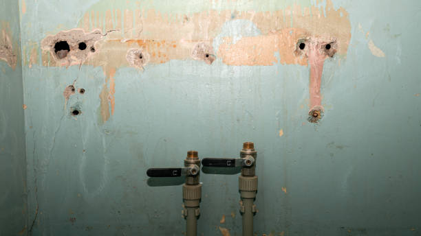 Best Ceiling water damage repair  in South Bound Brook, NJ