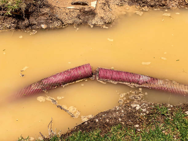 Best Water damage repair service  in South Bound Brook, NJ