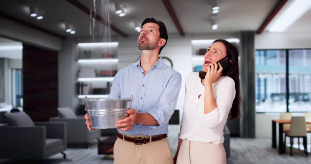 Best Carpet water damage restoration  in South Bound Brook, NJ