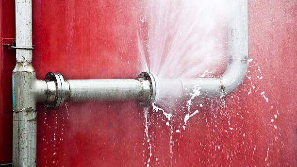 Best Local water damage restoration  in South Bound Brook, NJ